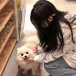 拇指小人打排球